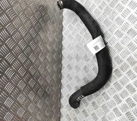 Maserati Quattroporte Engine coolant pipe/hose 670031870