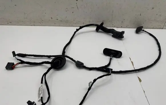 Cupra Leon Rear door wiring loom 5FA971161J