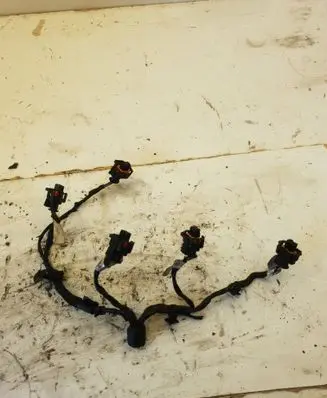 Jaguar XF X250 Fuel injector wires 
