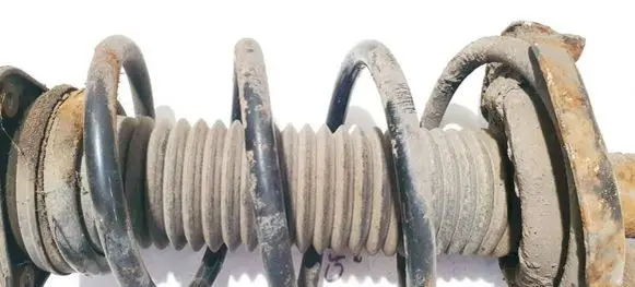 Ford Focus C-MAX Front coil spring
