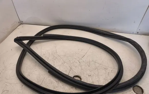Toyota C-HR II Rubber seal rear door 