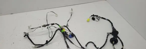Toyota RAV 4 (XA50) Front door wiring loom
