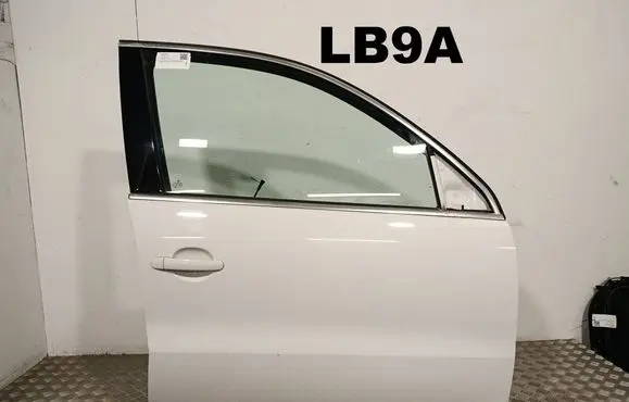 Volkswagen Tiguan Front door 
