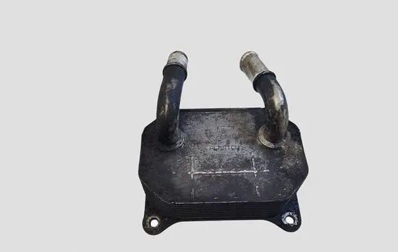 Ford S-MAX Engine oil radiator