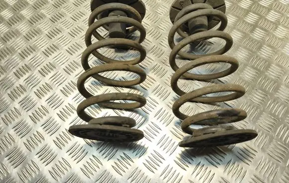 Rear coil spring