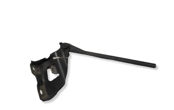 Audi A5 Sportback 8TA Engine bonnet/hood hinges 8T0823302