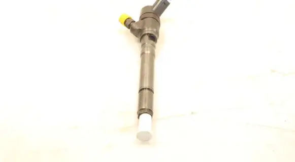 Hyundai Santa Fe Fuel injector 0445110064