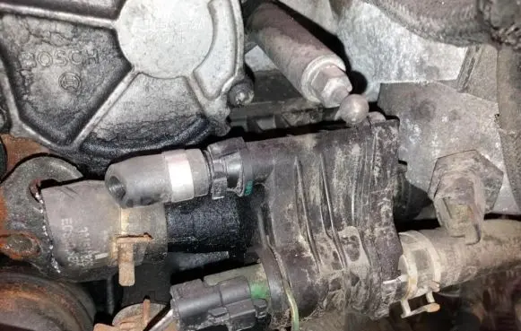 Ford Focus Engine coolant pipe/hose
