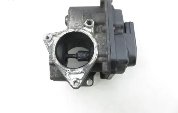 Volkswagen PASSAT B6 EGR valve 03G131501