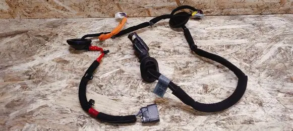 KIA Stinger Rear door wiring loom 91650J5120