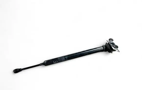Porsche Panamera (970) Front door check strap stopper 97053715200
