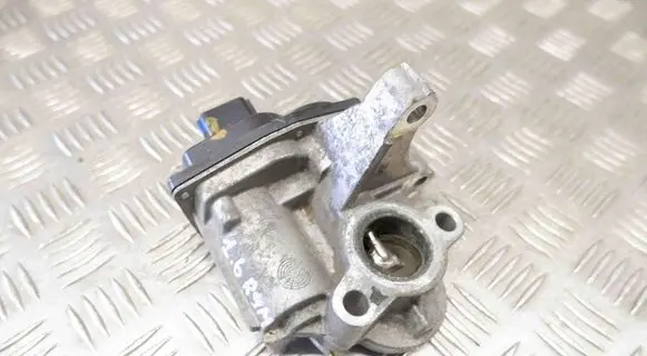EGR valve