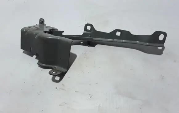 Renault Latitude (L70) Engine bonnet/hood hinges 654010010R