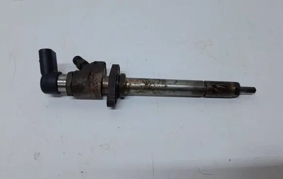 Citroen C4 Grand Picasso Fuel injector 9658194180 030009