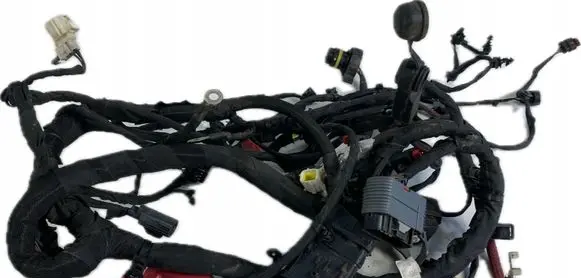 Dodge Challenger Wiring harness 68333800AE