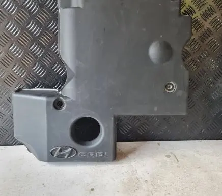 Hyundai H-1, Starex, Satellite Engine cover (trim)