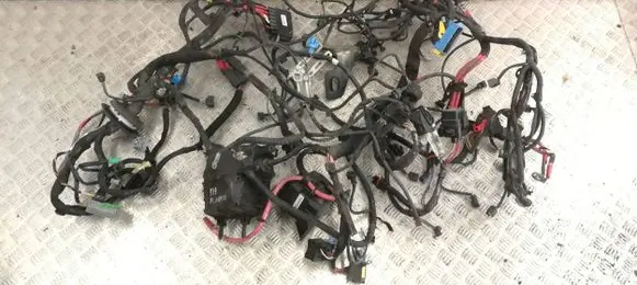 Engine installation wiring loom