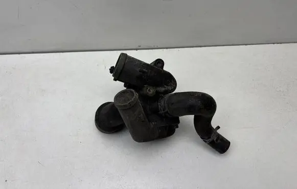 Thermostat/thermostat housing