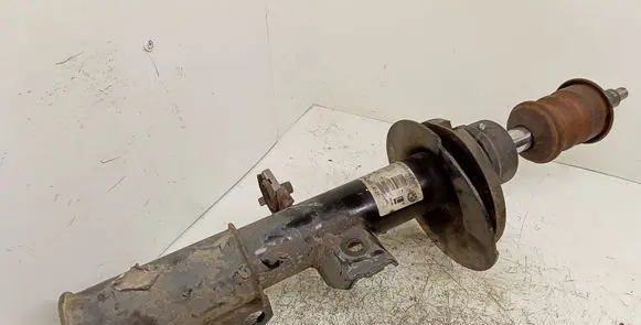 BMW X5 E53 Front shock absorber/damper 22194425 31316754343