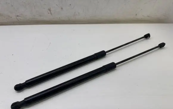 Opel Insignia B Tailgate/trunk strut/damper 39169064 3095380445N