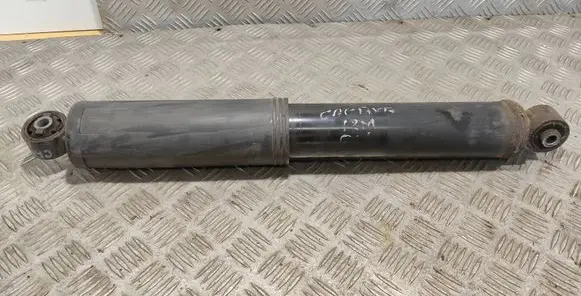 Chevrolet Captiva Rear shock absorber/damper 20924216