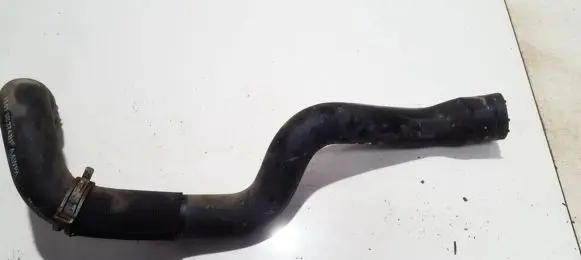 Ford Focus Engine coolant pipe/hose