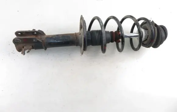 Fiat Punto (188) Front shock absorber with coil spring