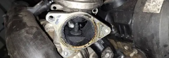 EGR valve