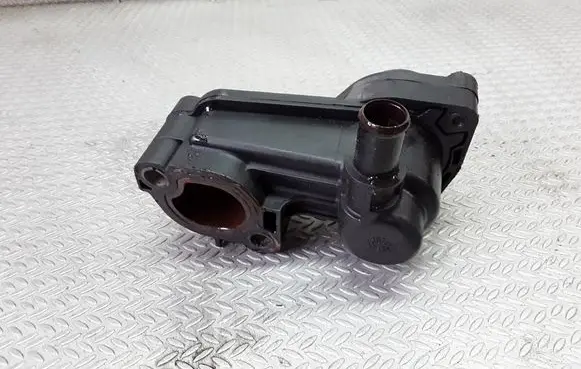 Thermostat/thermostat housing