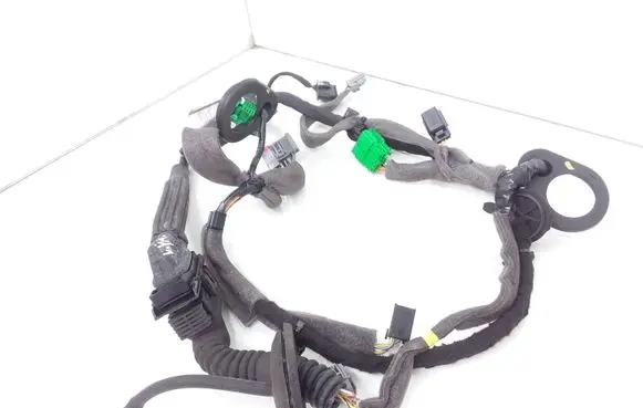 Front door wiring loom