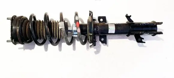 Ford Ka Front shock absorber/damper FT11177 G012J123