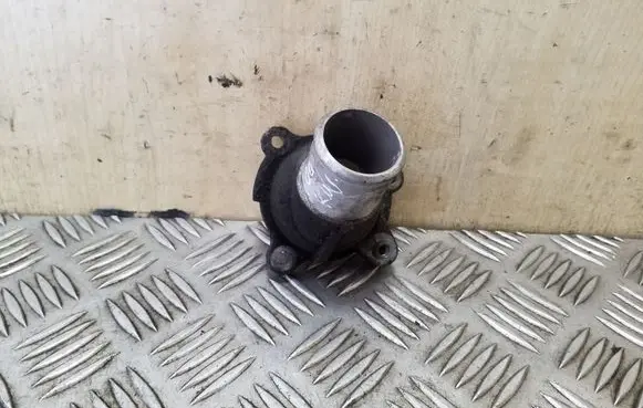 Thermostat/thermostat housing