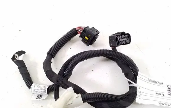 Other wiring loom