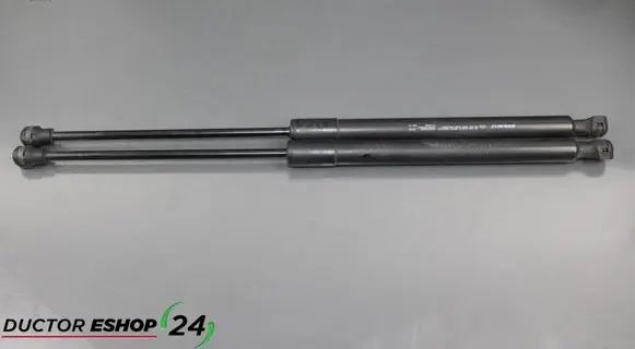 Dacia Sandero Tailgate/trunk strut/damper 904529943R
