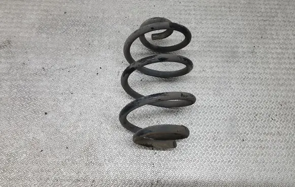 Rear coil spring
