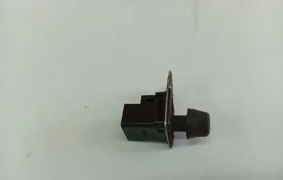 Subaru B9 Tribeca Front door sensor 