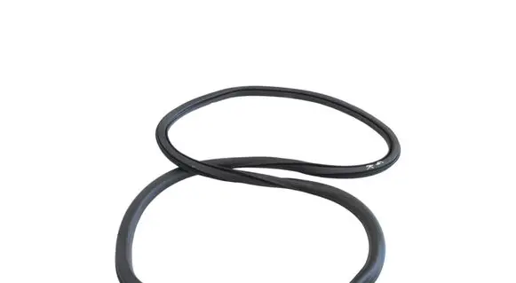 Citroen C4 II Rubber seal rear door 