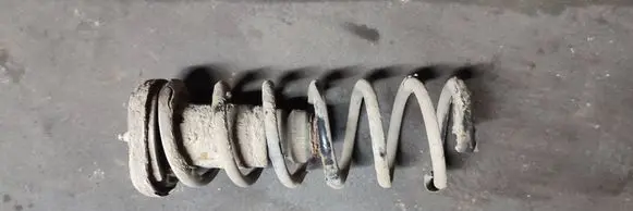 Rear coil spring