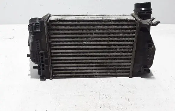 Renault Talisman Intercooler radiator 144614EB0A