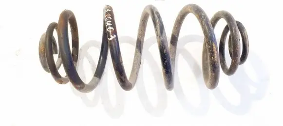 Rear coil spring