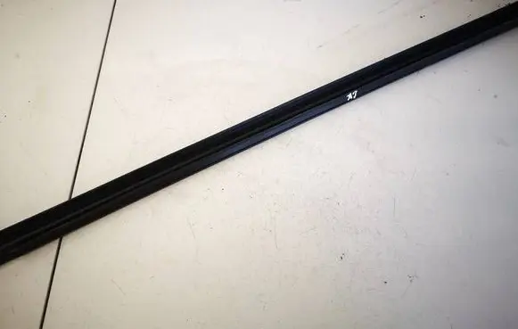 Renault Scenic II - Grand scenic II Rear door glass trim molding 