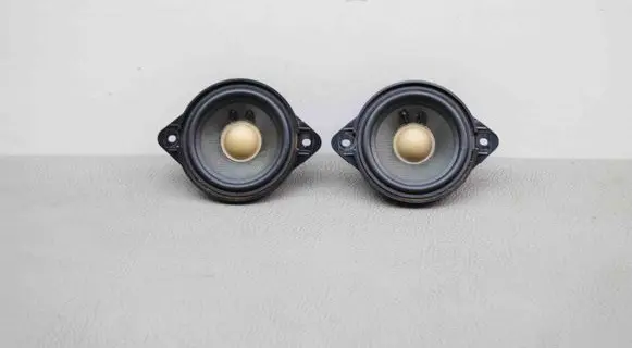 Panel speaker