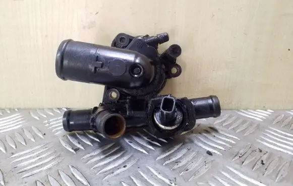 Thermostat/thermostat housing