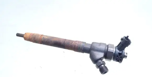 Nissan Qashqai Fuel injector B445161554 0445110546