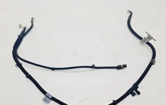 Engine installation wiring loom