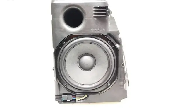 Tesla Model 3 Subwoofer speaker 107974700D 1904211113A 430407772513