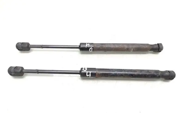 Tailgate/trunk strut/damper
