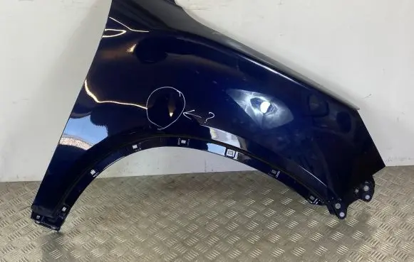 SsangYong Rexton Fender