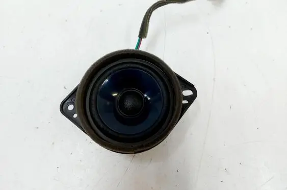 Front door speaker