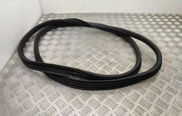 Fiat Doblo III Front door rubber seal 9836219280